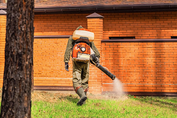 Trusted Cockroach Control service in Cottage Grove, OR - Nex Pest Control